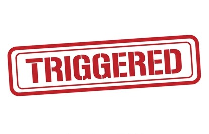 TRIGGERED BY AMERICA FIRST PATRIOTS